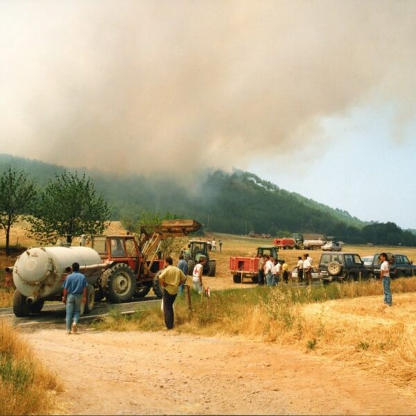 Nova sentència FAVORABLE - INCENDIS del 1994