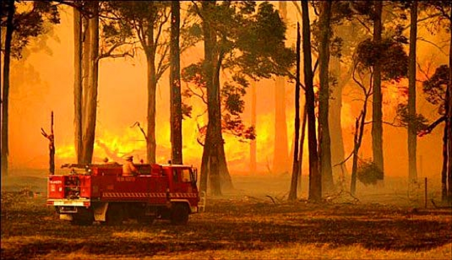 Incendis Forestals - Danys i responsabilitat civil